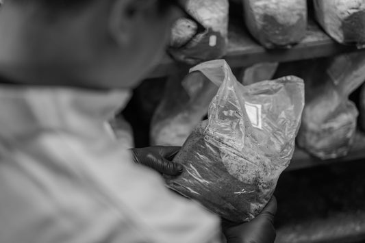 Maritime Domain Awareness